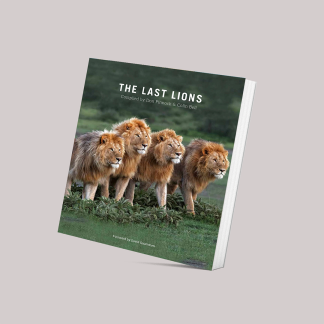 The Last Lions