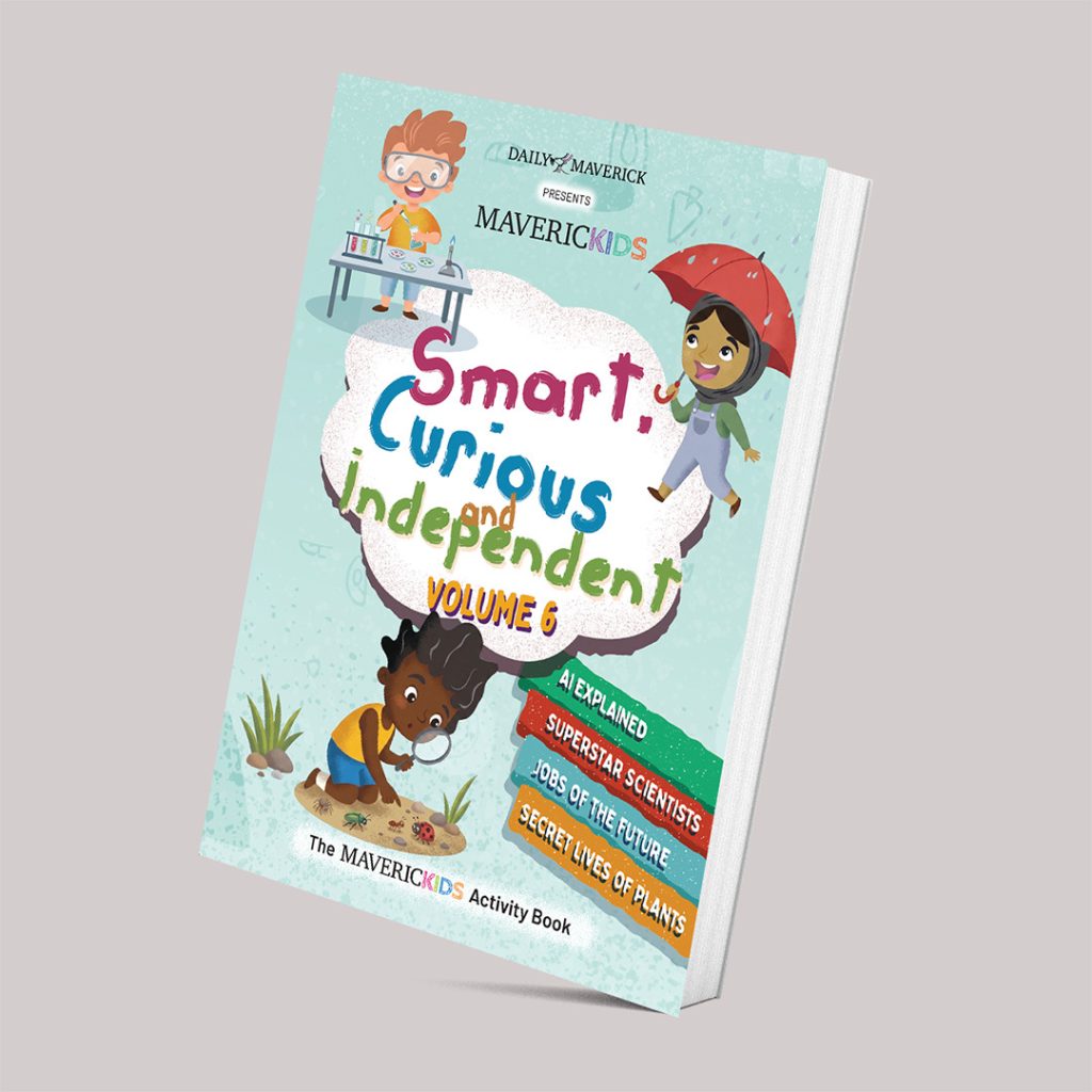 The MavericKids Activity Book Volume 6 | Daily Maverick Shop